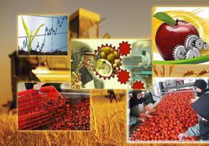صادرات ۷۵ قلم محصولات کشاورزی استان همدان در ۹ماهه سال جاری