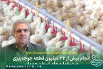 انجام بیش از ۳۲ میلیون قطعه جوجه‌ریزی در مرغداری‌های استان همدان